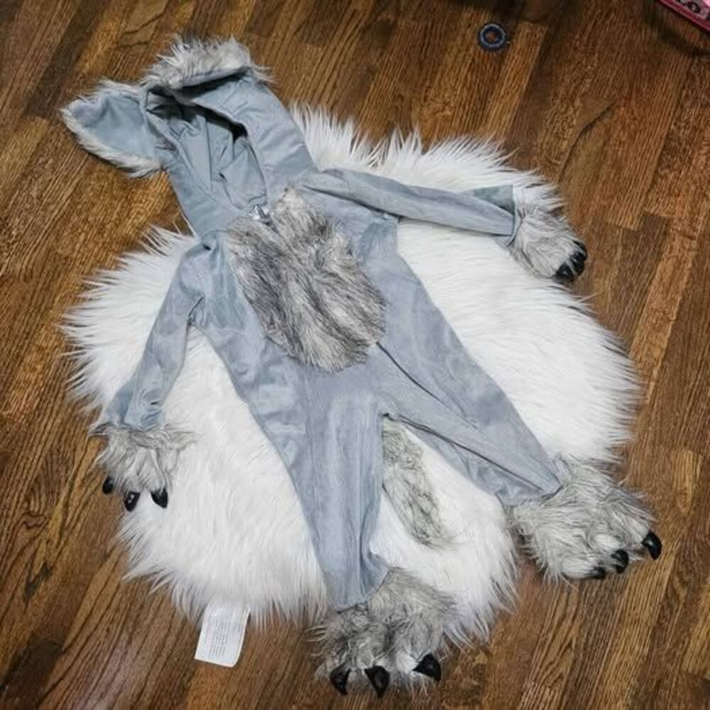 Fun Costumes Infant/Toddler Lil' Wolf Cub Costume Halloween 3-6 Months